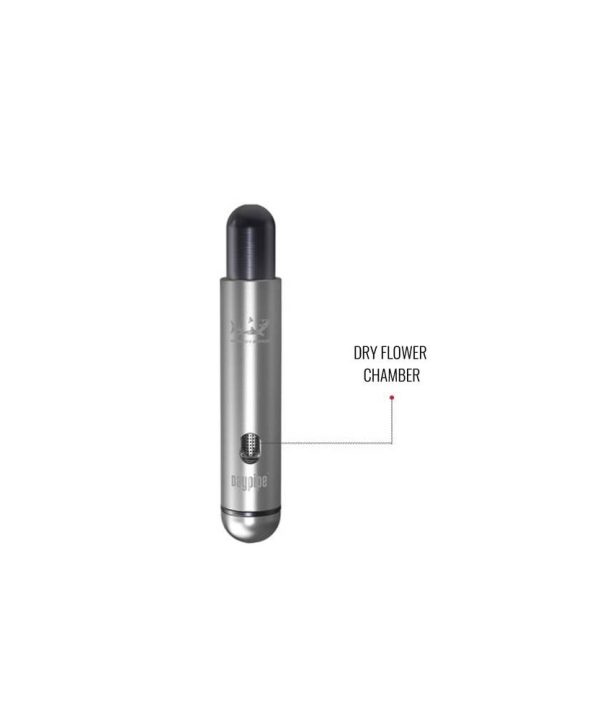 21800-6234d5b33aede6-49693913-hamilton-daypipe