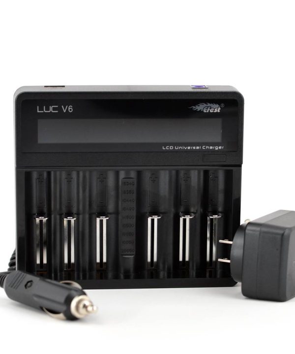 4962-583314d781caa3-55050784-E-Fest-6-bay-LUC-Charger-pic1